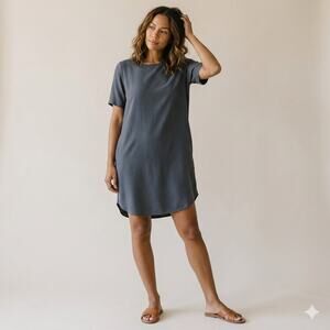 Nouvelle Silk 95 Five Gray Washable Silk Berlin Mini Dress Women's S